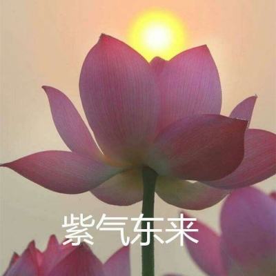 英雄学院之最强英雄手游下载